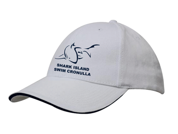 Click on image for expanded view